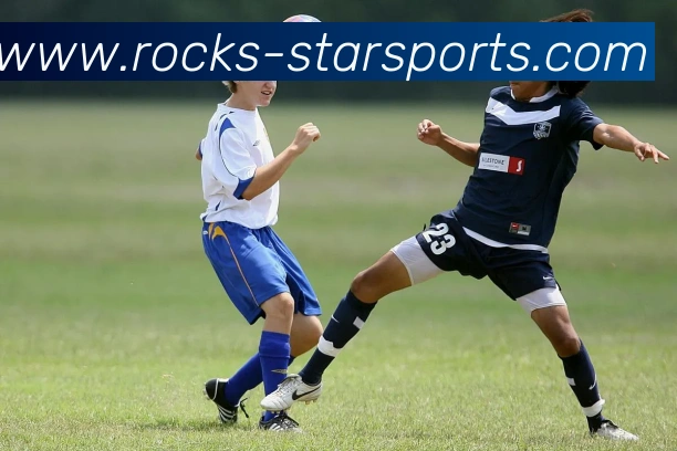 星空体育手机版发展历程